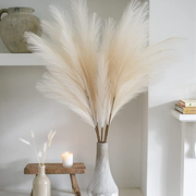 Decor Pampas™